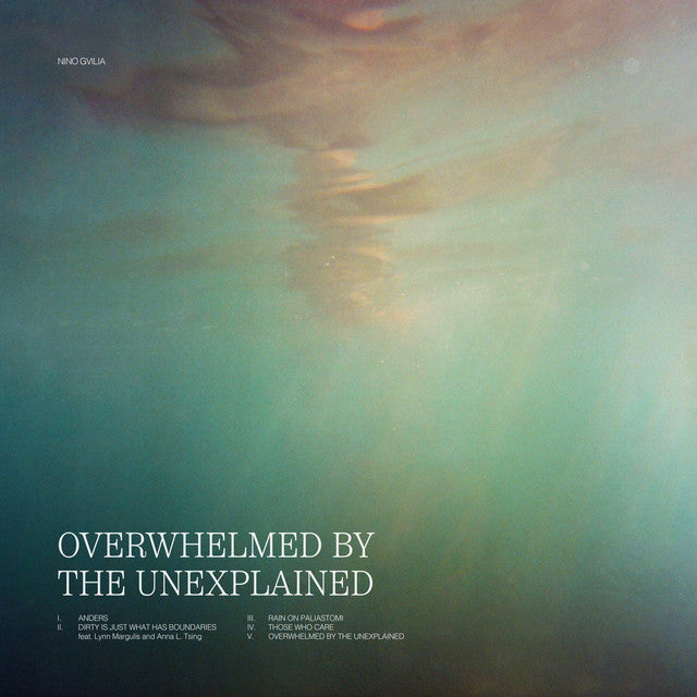 Nino Gvilia – Nicole / Overwhelmed By The Unexplained