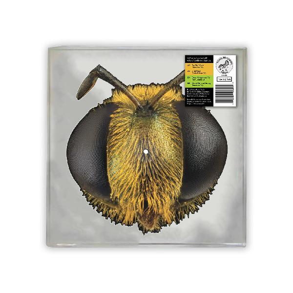 KING GIZZARD & THE LIZARD WIZARD – Big Fig Wasp (RSD 2026)